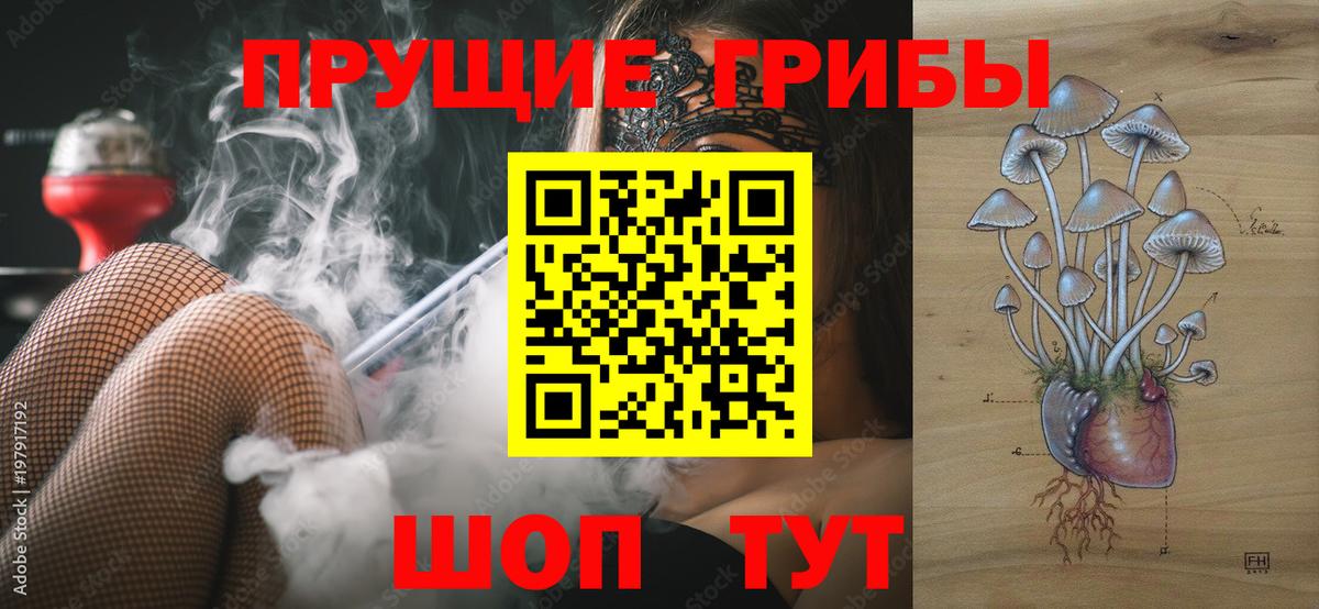 Дятьково  Галлюциногенные грибы ЛСД  Вход с VPN 