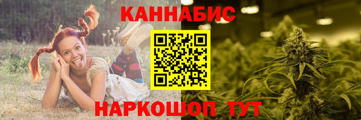 Каннабис ГИДРОПОН Дятьково